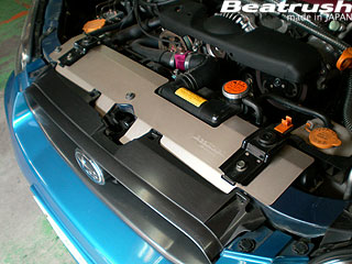Radiator Cooling Panel