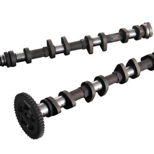 143076 PONCAM M16A ZC31S