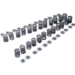 163022 VALVE SPRING R33 RB25DE(T) B-TYPE