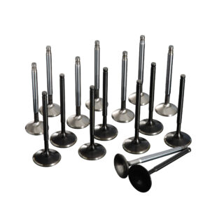 163401 OVER SIZE VALVE SET SR20DET