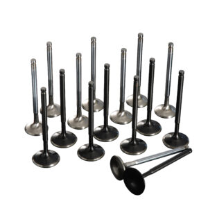 163405 OVER SIZE VALVE SET 4B11 EVO10