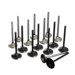 163403 OVER SIZE VALVE SET EJ207/EJ255/EJ257