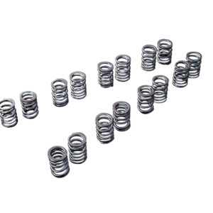 173004 VALVE SPRING SR20DE(T) TYPE-A