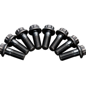 193070 FLY WHEEL BOLT SET 4AG